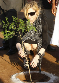 Мадонна сажает дерево в Малави