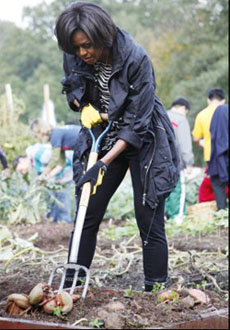 Мишель Обама закрывает «дачный сезон» на огороде Белого дома
