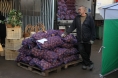 На 32 млн. руб. завезли продукции сельхозпроизводители на рынки Казани