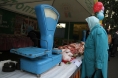 На 32 млн. руб. завезли продукции сельхозпроизводители на рынки Казани