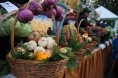 На 32 млн. руб. завезли продукции сельхозпроизводители на рынки Казани