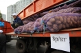 На 32 млн. руб. завезли продукции сельхозпроизводители на рынки Казани