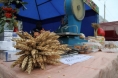 На 32 млн. руб. завезли продукции сельхозпроизводители на рынки Казани