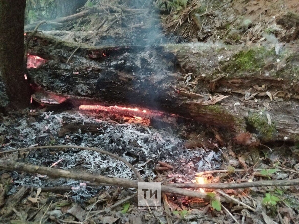 пожар в Швейцарии