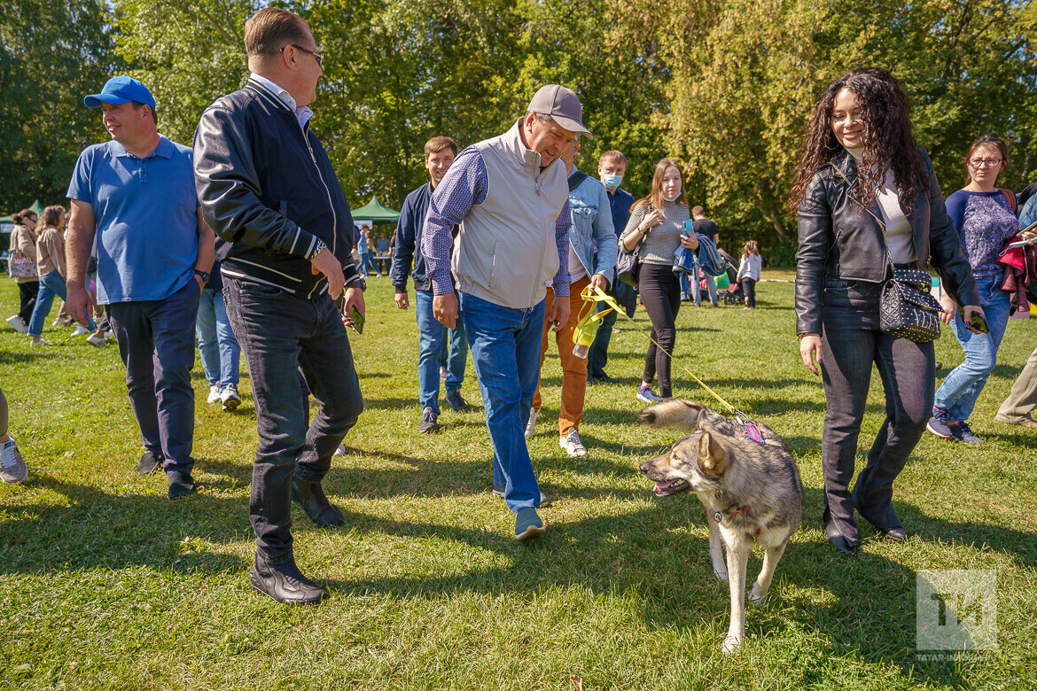 Владимир Васильев