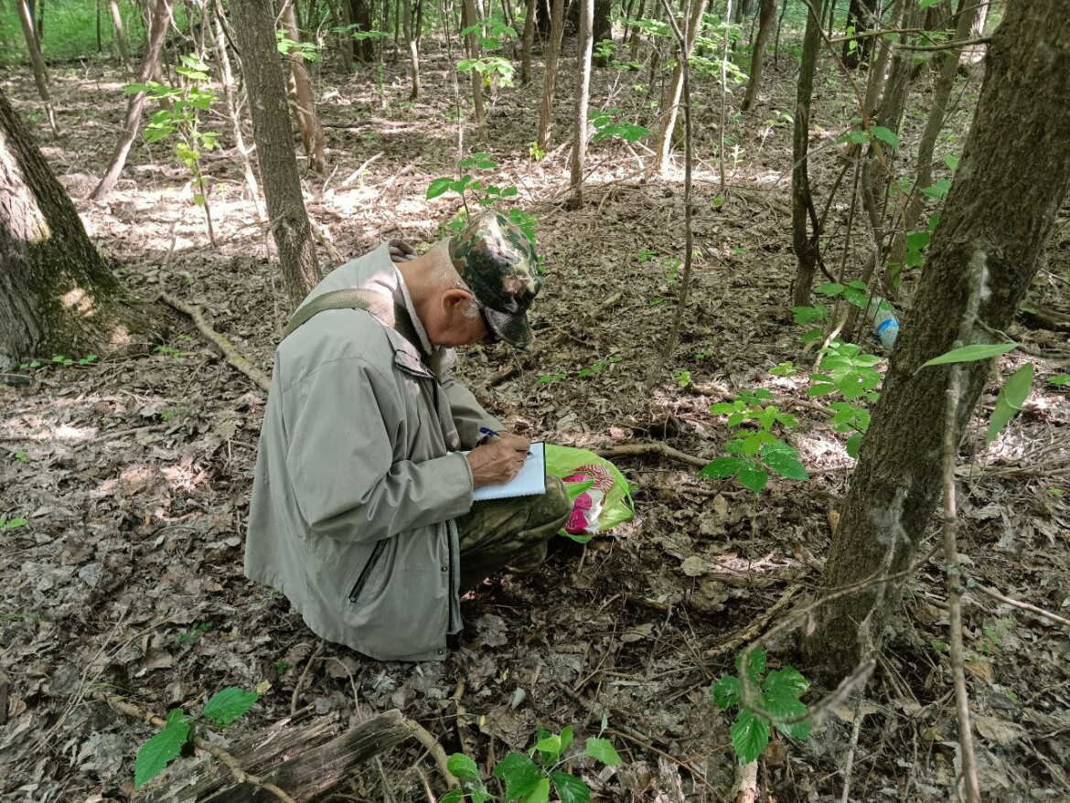 учет краснокнижных растений