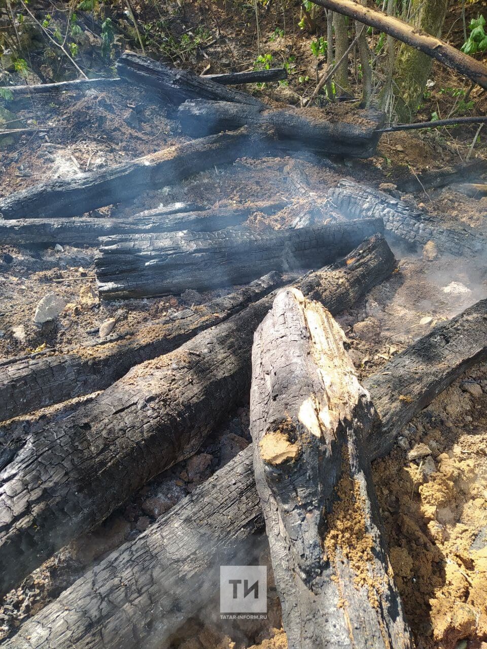 пожар в Швейцарии