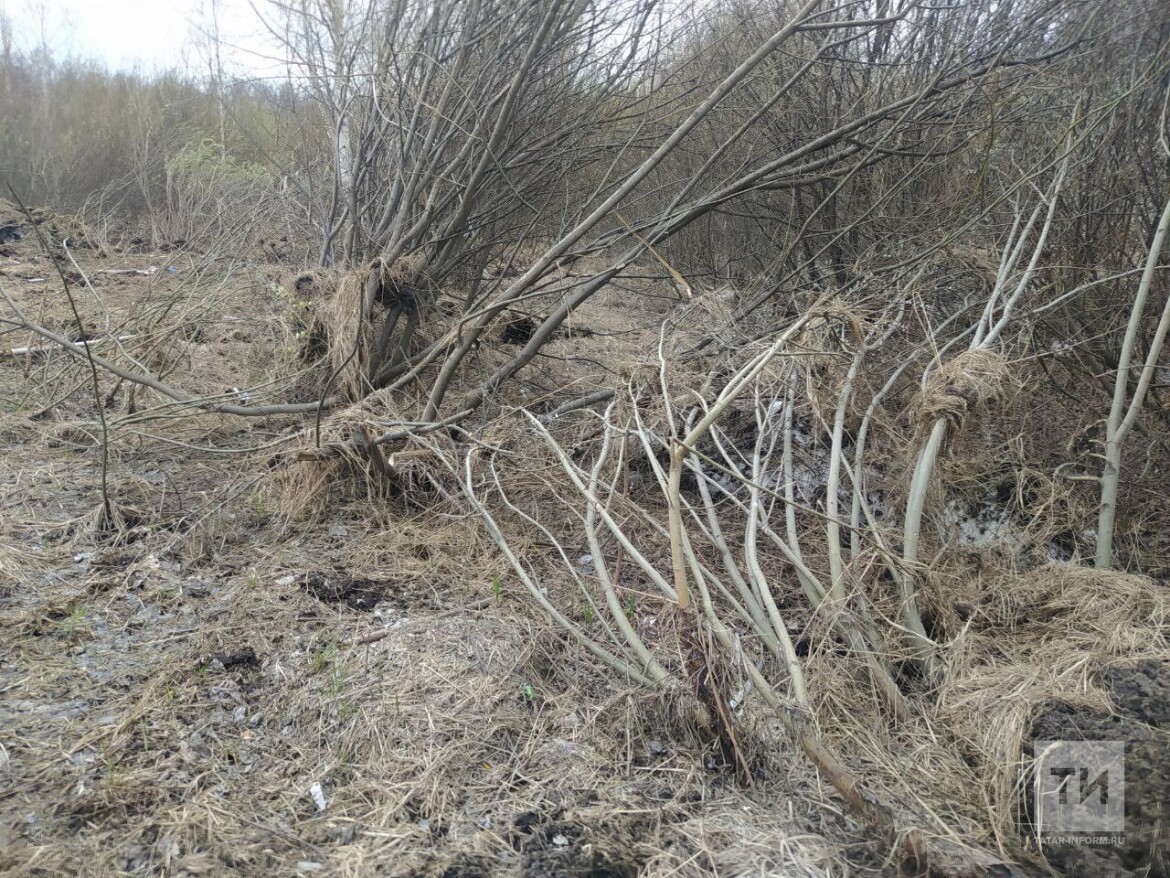 казанский питомник редких видов