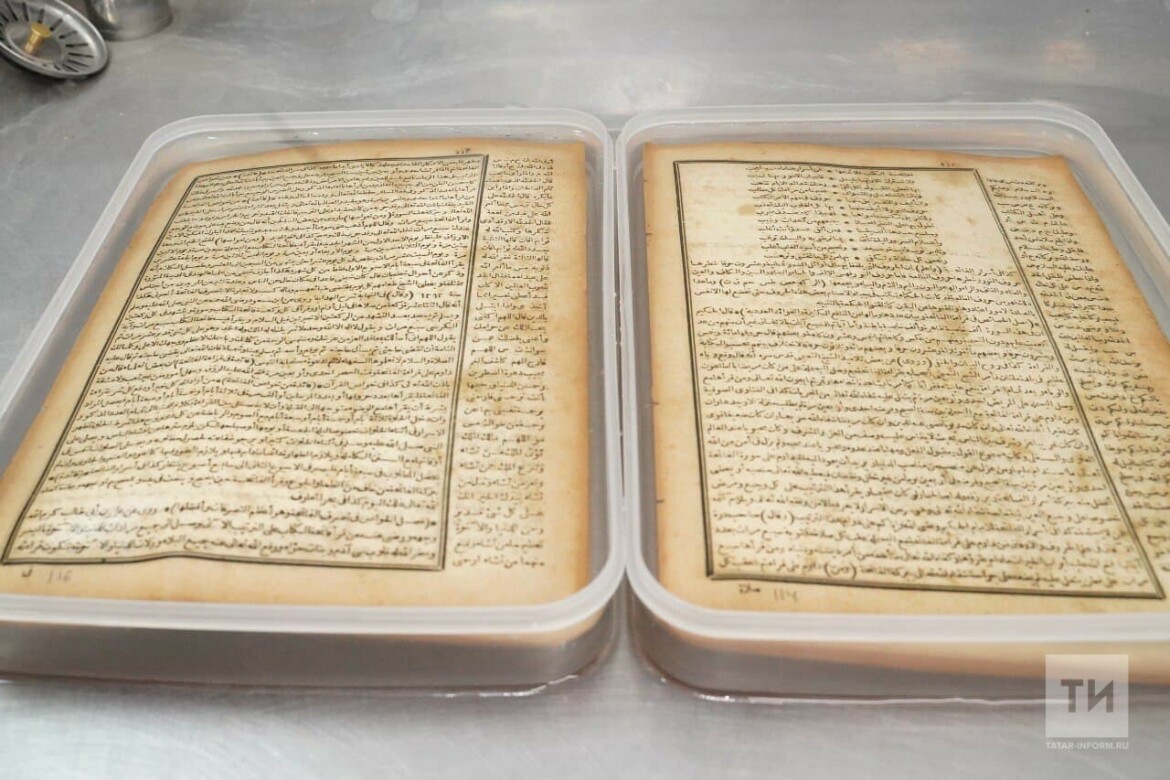 Фото: © Абдул Фархан / ИА «Татар-информ»