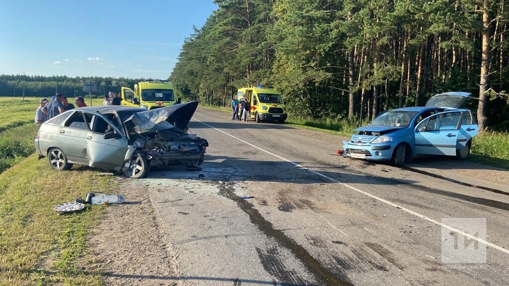 туристы в сочи. новости за 3 дня. 02. командно-штабные учения. пожар картинки.