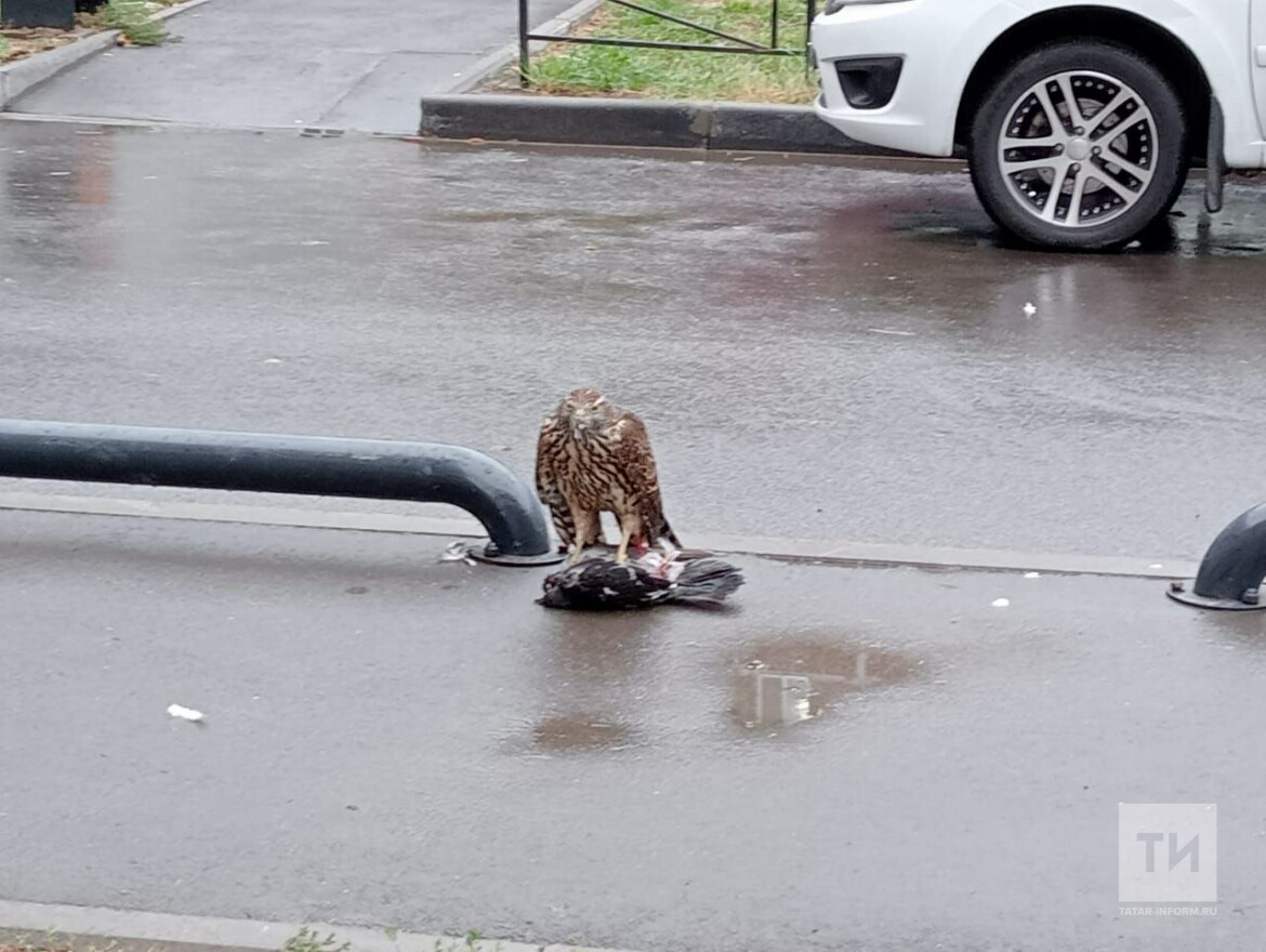 Казань, Проспект Победы