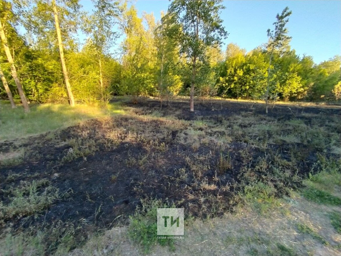 пожар в Швейцарии