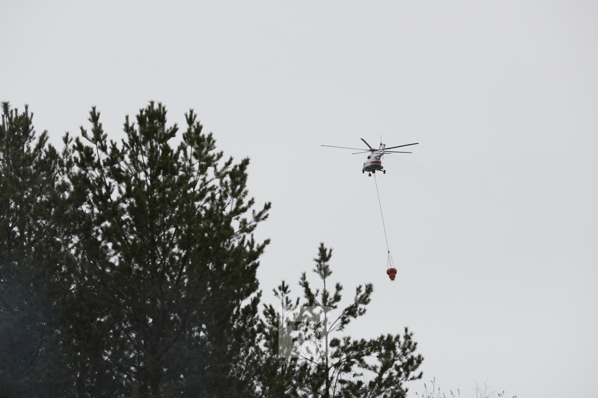 Тушение лесного пожара