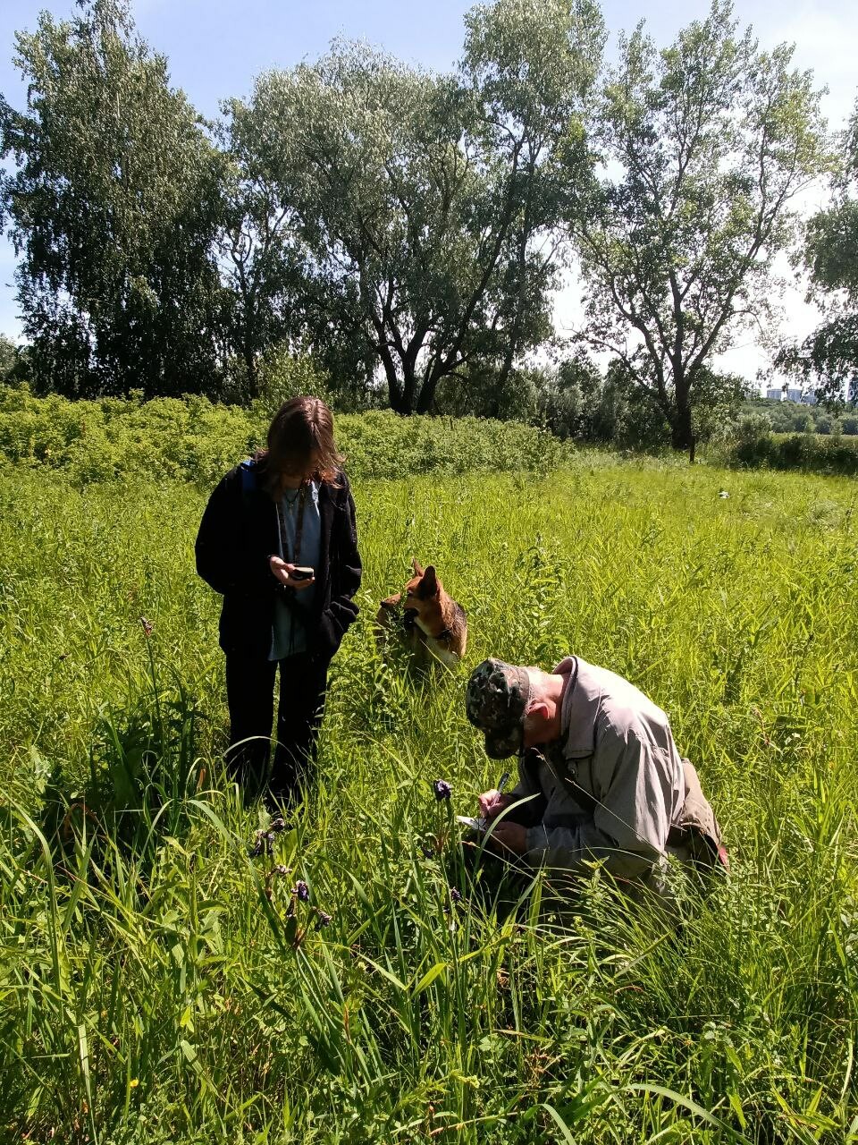 учет краснокнижных растений 