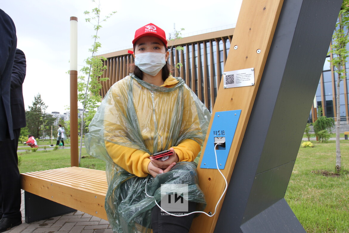 посадка деревьев