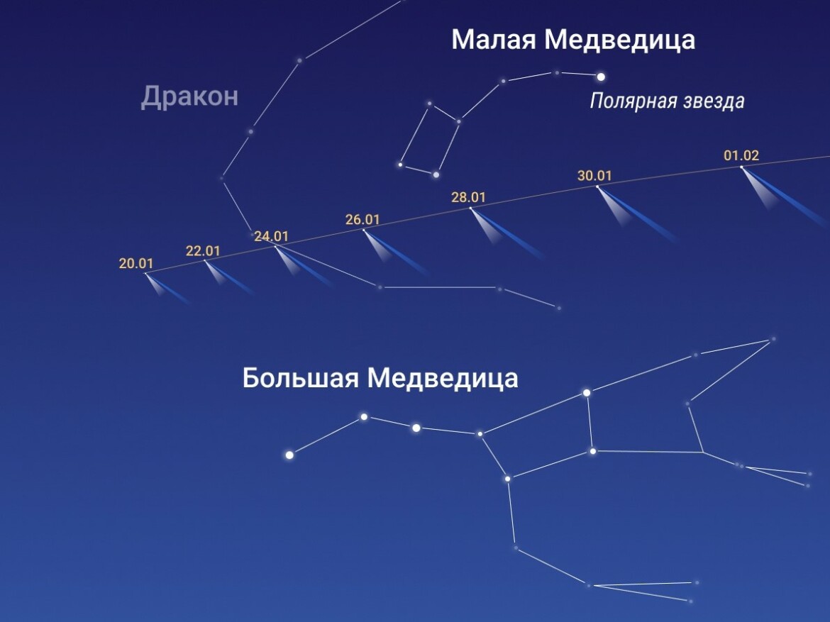 созвездие малой медведицы фото на небе