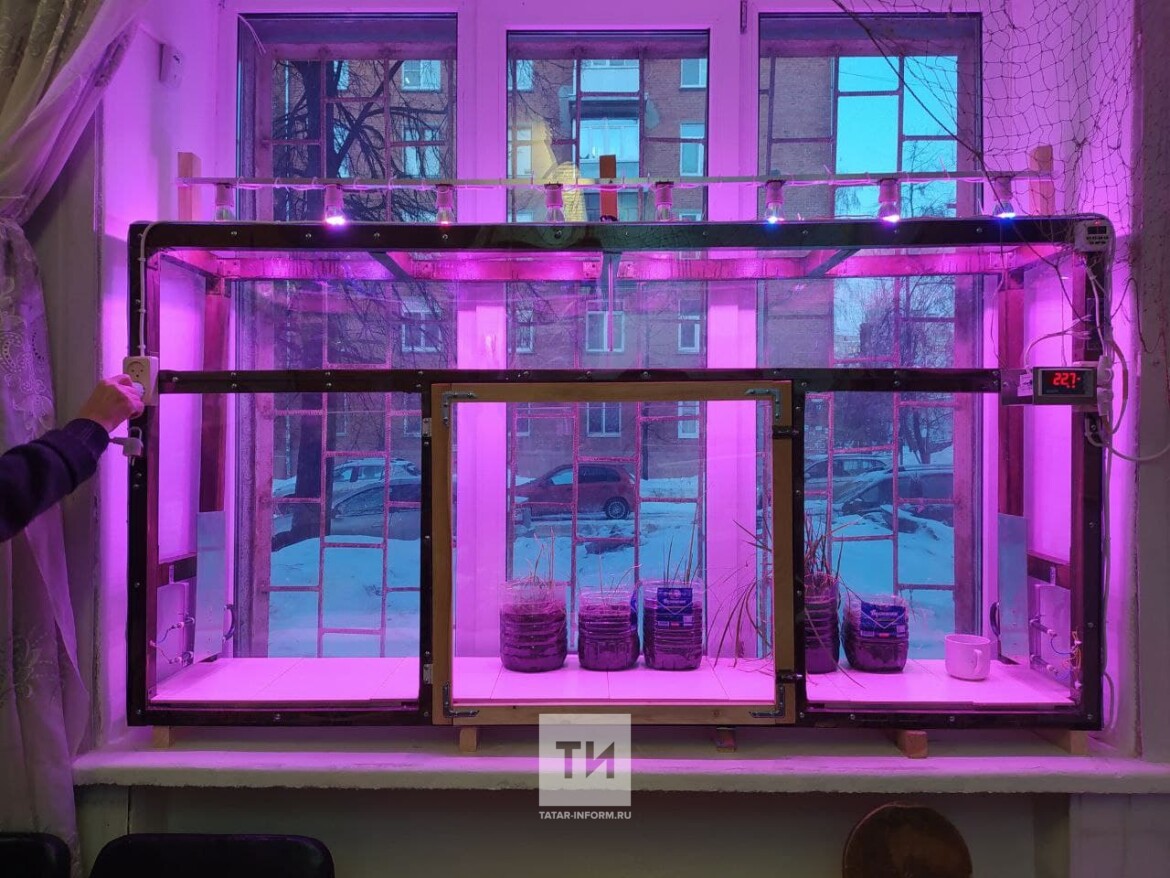 камера для растений