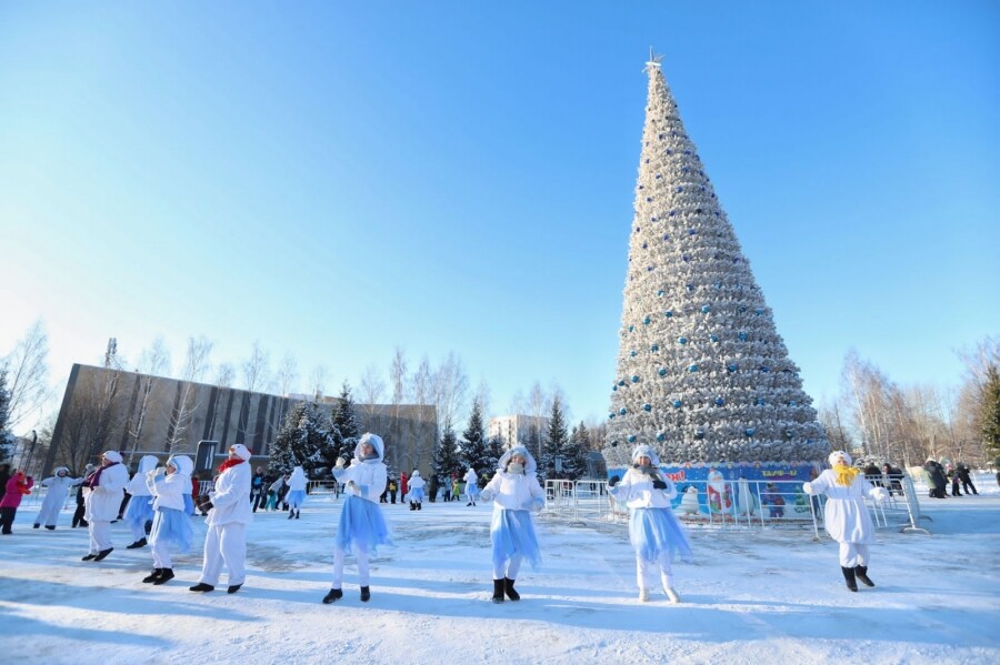В Нижнекамске для отличников учебы состоялась елка главы района