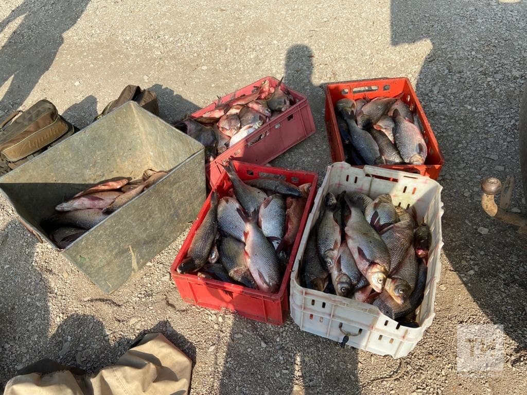 Инспекторы рыбоохраны поймали браконьеров, которые наловили в Каме рыбы на 375 тысяч