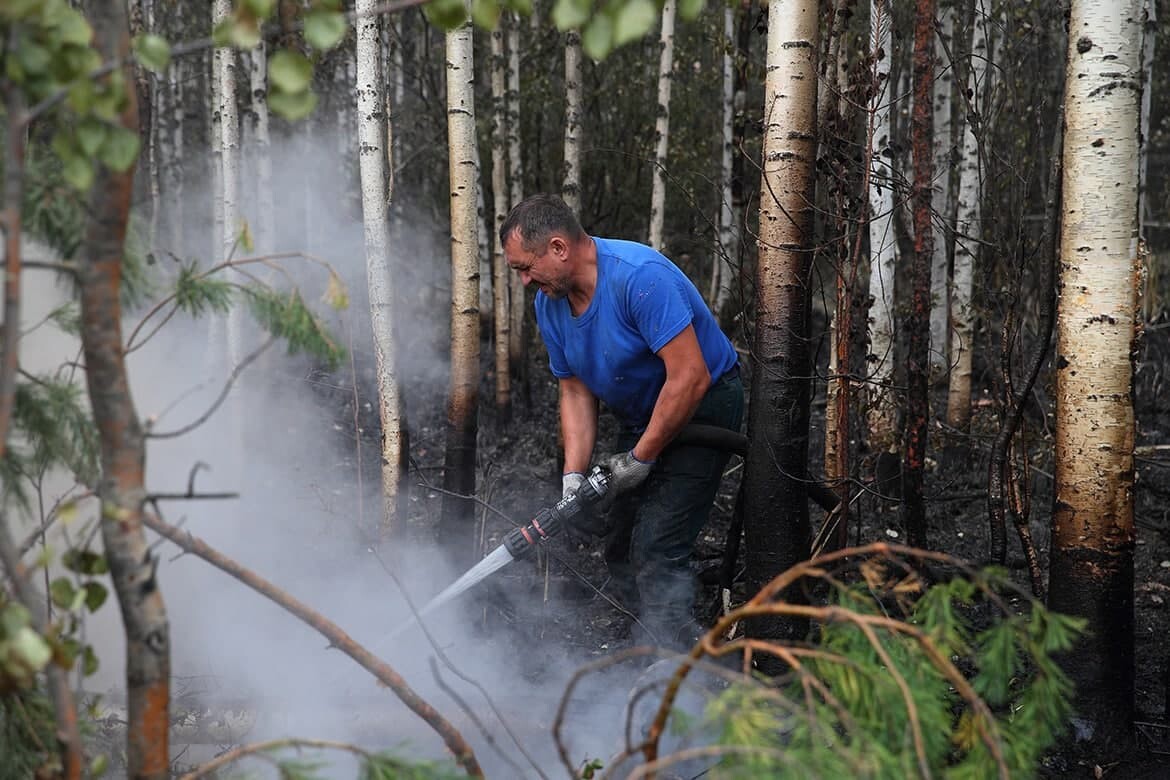 МЧС: Огонь в лесах Марий Эл отступил, угрозы населенным пунктам нет