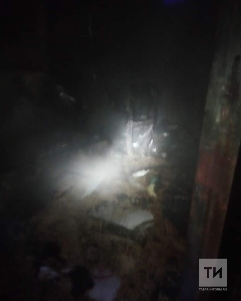 В приюте для собак в Татарстане случился пожар, из огня спасли 130 псов
