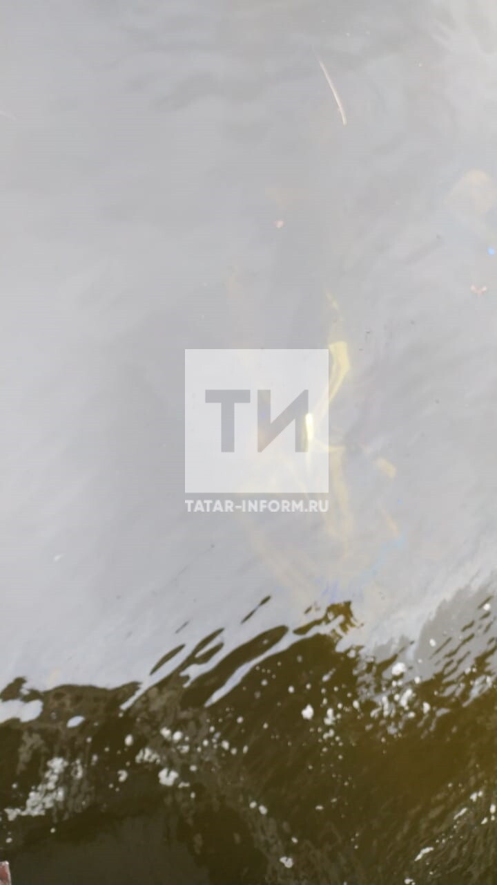 «КАМАЗ» въехал в Audi на паромной переправе в Татарстане, обе машины упали в воду