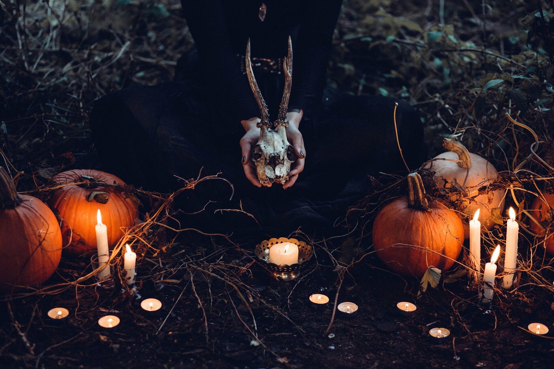 От Дня пожилого человека до Хэллоуина: идеи подарков на праздники октября