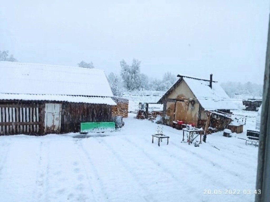 Жители соседней Татарстану Кировской области сняли на видео выпавший 20 мая снег