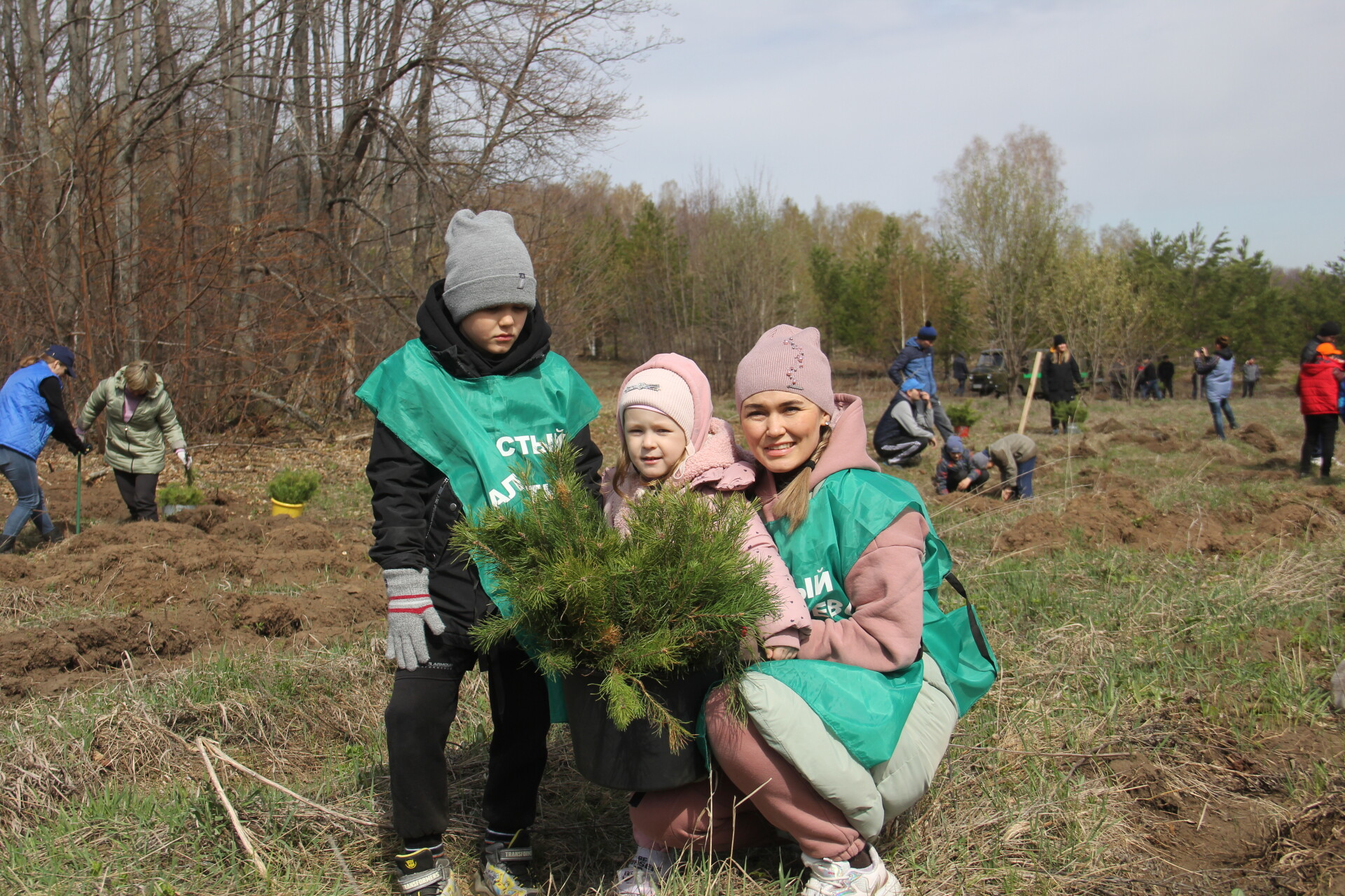 Вилландри овощные сады. Сад разбит на 590 гектарах. 40 соток. Дворец парковый ансамбль в петергофе. Сад разбит на 590 гектарах.