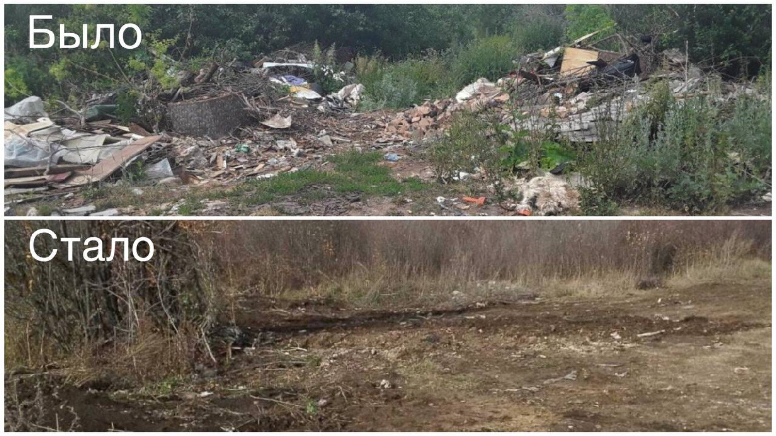 В Бугульме благодаря экологам ликвидировали несанкционированную свалку