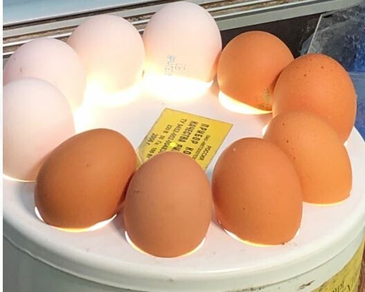 Управляющая Экобазаром в Челнах объяснила причины подорожания яиц в городе