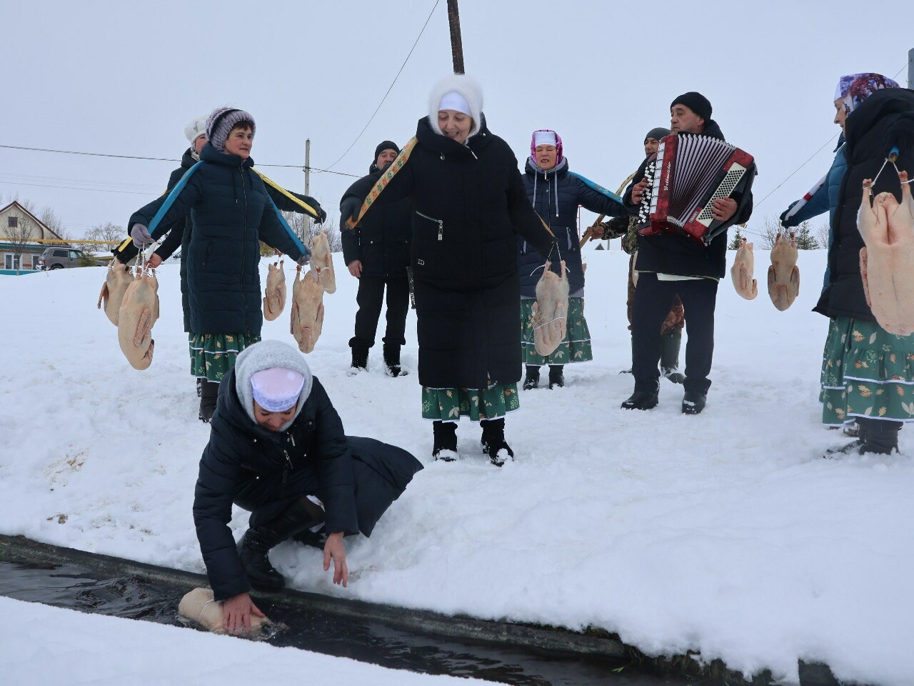Бизнесвумен из Актанышского района вырастила 120 гусей и провела обряд «каз өмәсе»