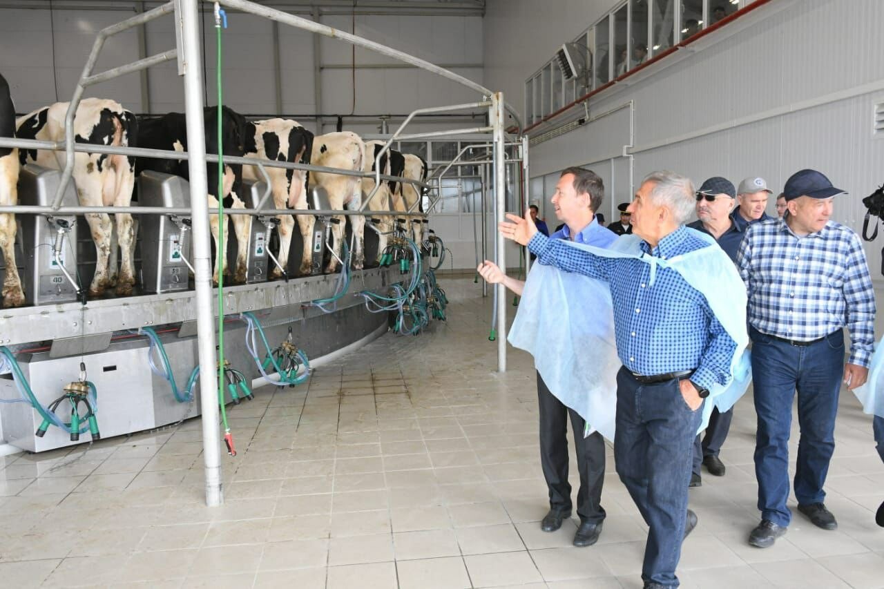 Минниханов осмотрел поля и молочный комплекс в Мензелинском районе Татарстана
