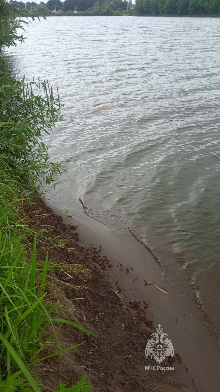 В озере в Нижнекамском районе обнаружили тело мужчины