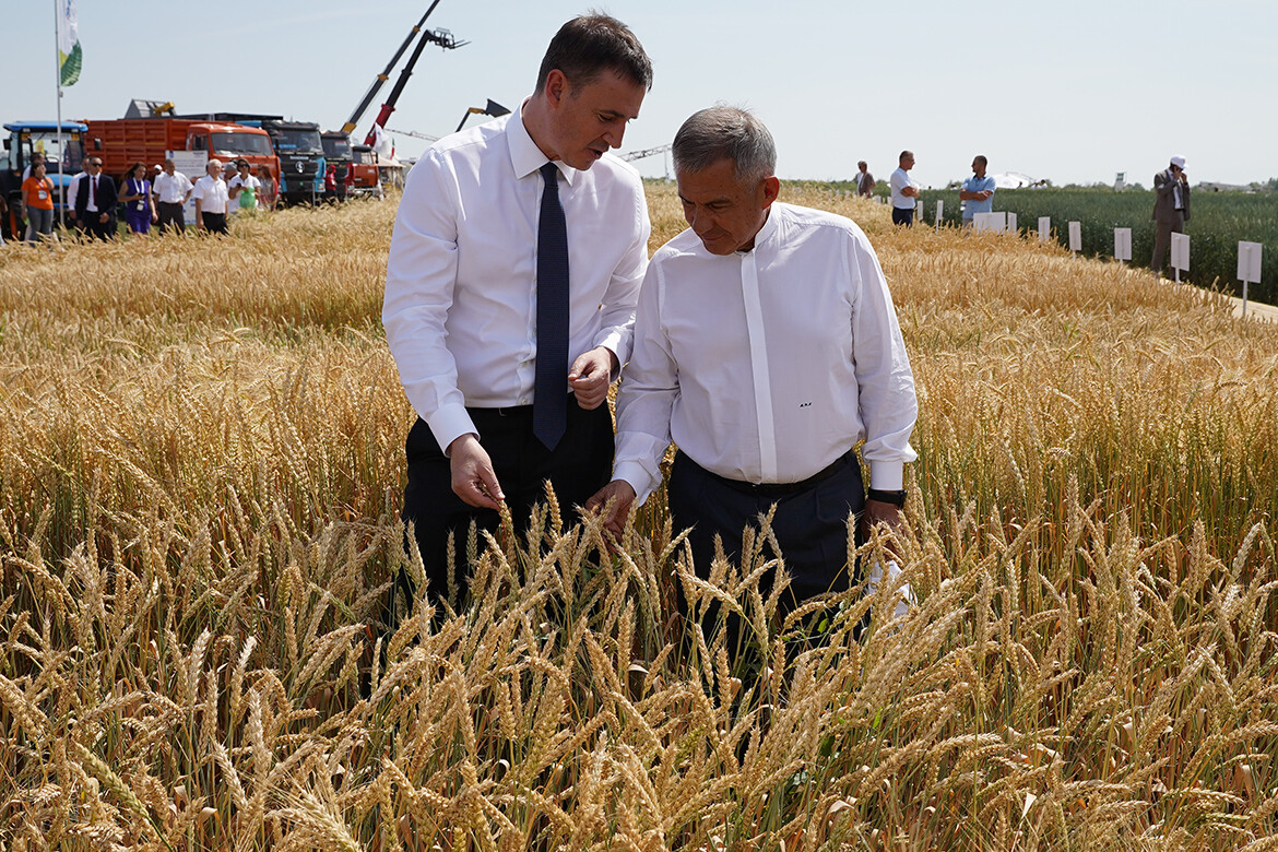 Z-трактор и картошка Самбо взамен голландской: Минниханов и Патрушев оценили новинки АПК