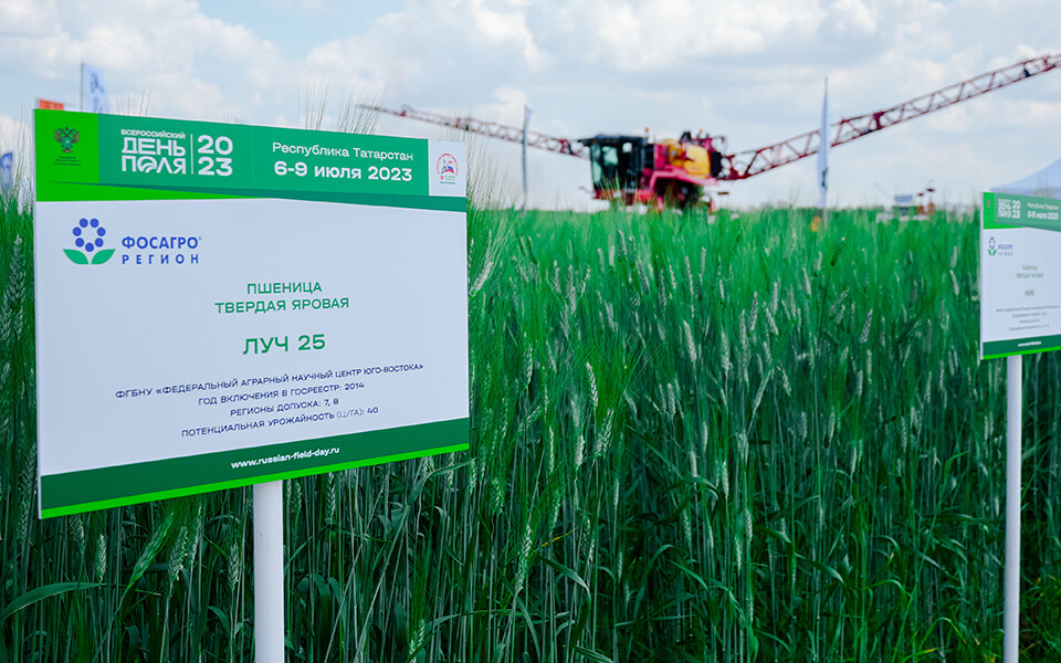 «Стабильный урожай»: аграриям Татарстана рассказали, как работать с удобрениями в засуху