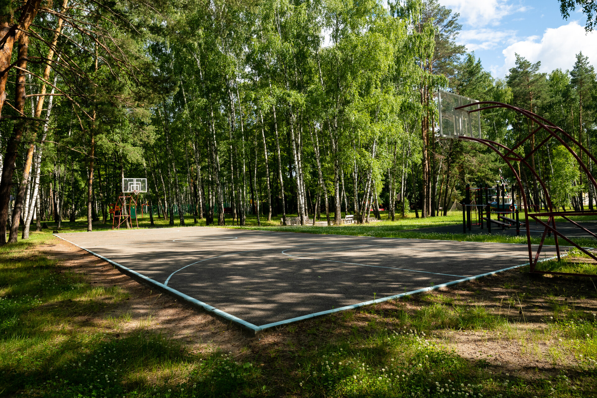 Три детских лагеря МЦ «Сэлэт» обработают от грызунов и клещей за 1 млн рублей