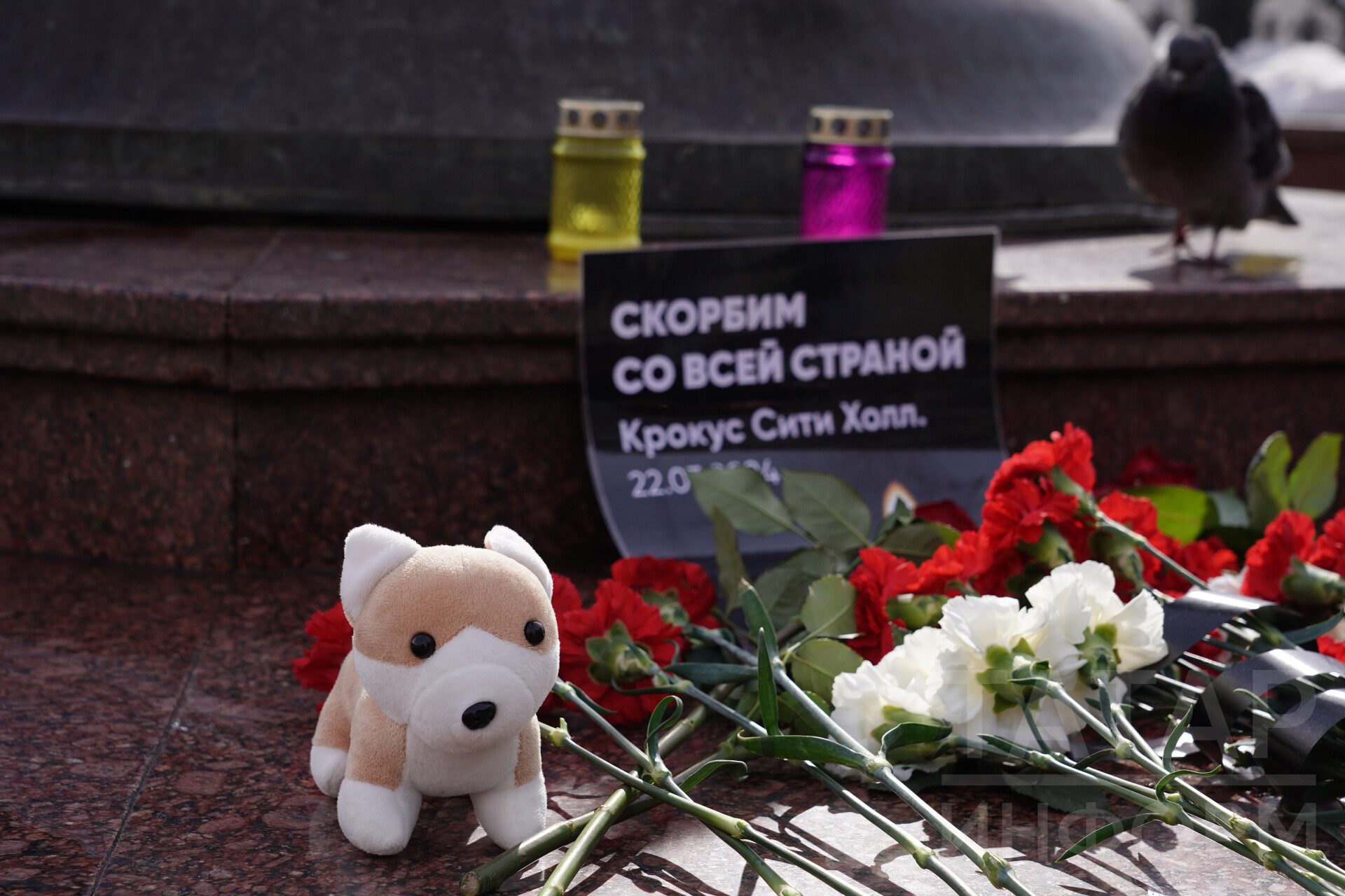 «Вся Россия с вами»: Фазылов выразил соболезнования жертвам теракта в «Крокусе»