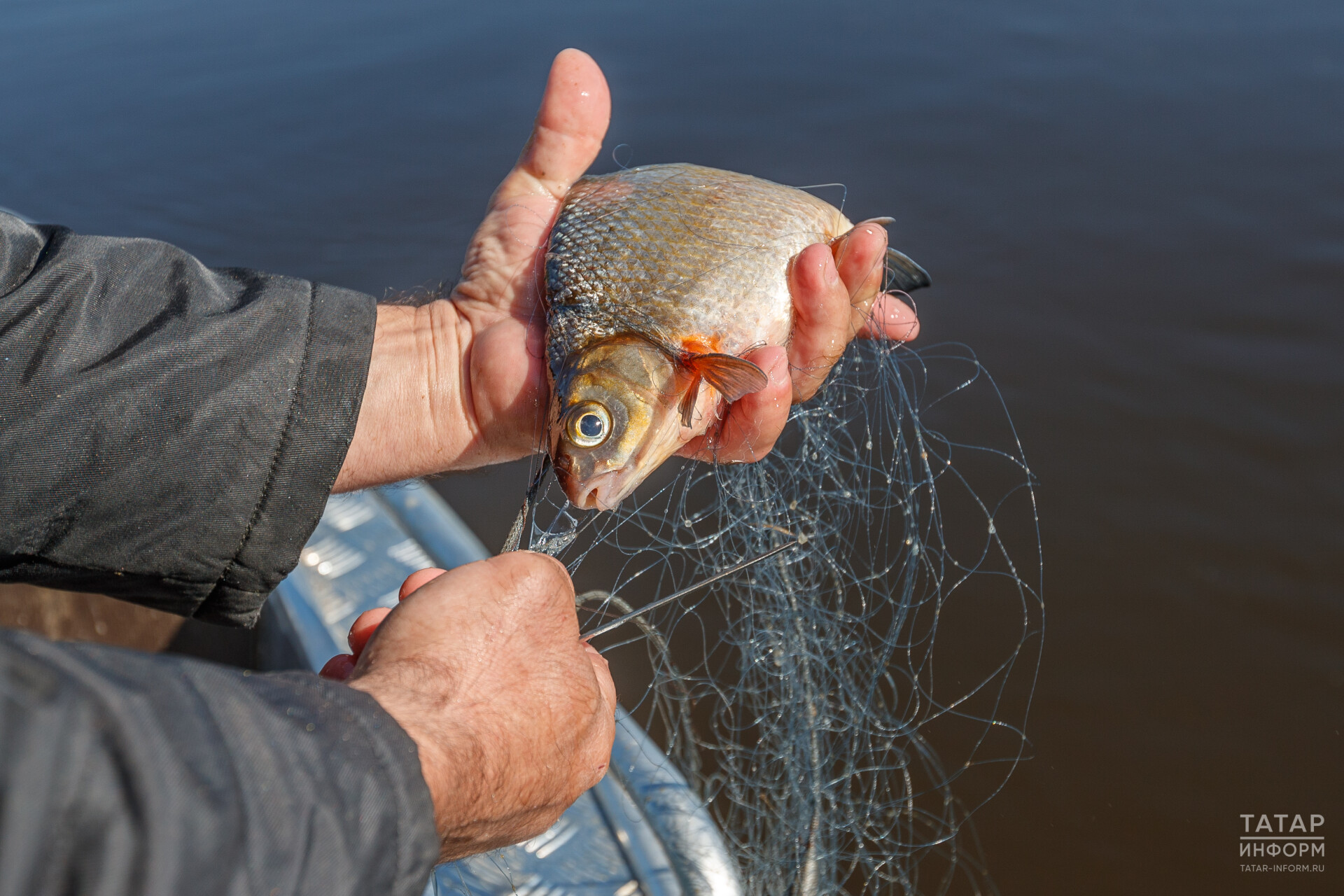 В Татарстане начал действовать запрет на промышленное рыболовство