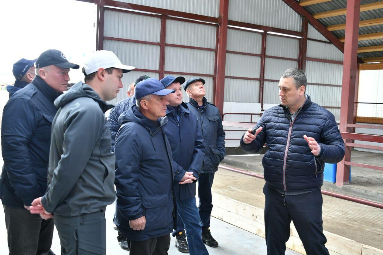Минниханов посетил новый животноводческий комплекс в Чистопольском районе