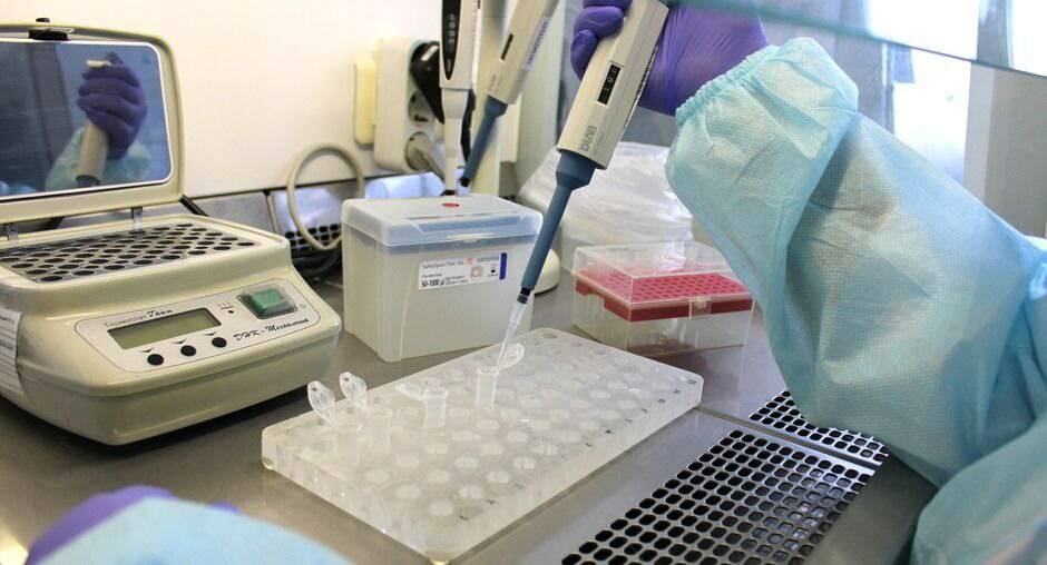 ФГБУ «ЦОК АПК»: Количество проверок сельхозпродукции в Татарстане выросло в 1,4 раза