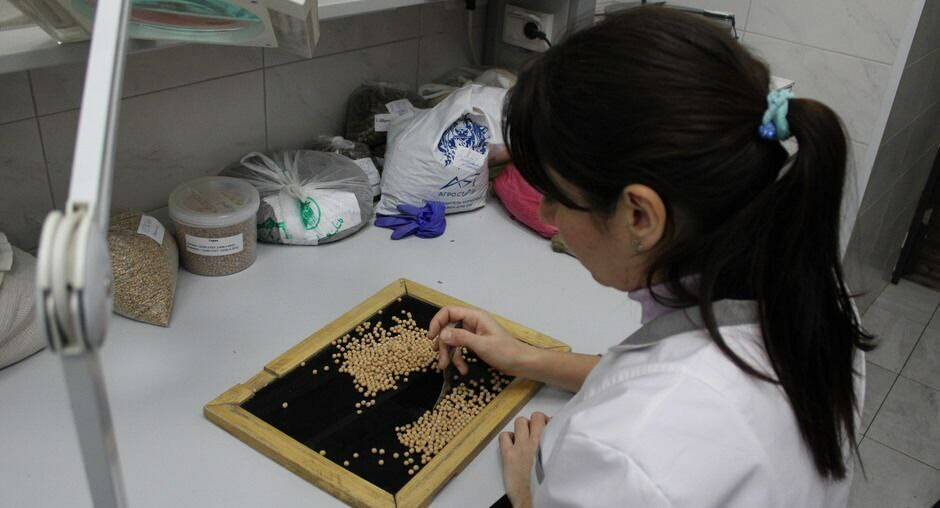 В Татарстане проинспектировали 88 тысяч тонн гороха, выращенного в этом году