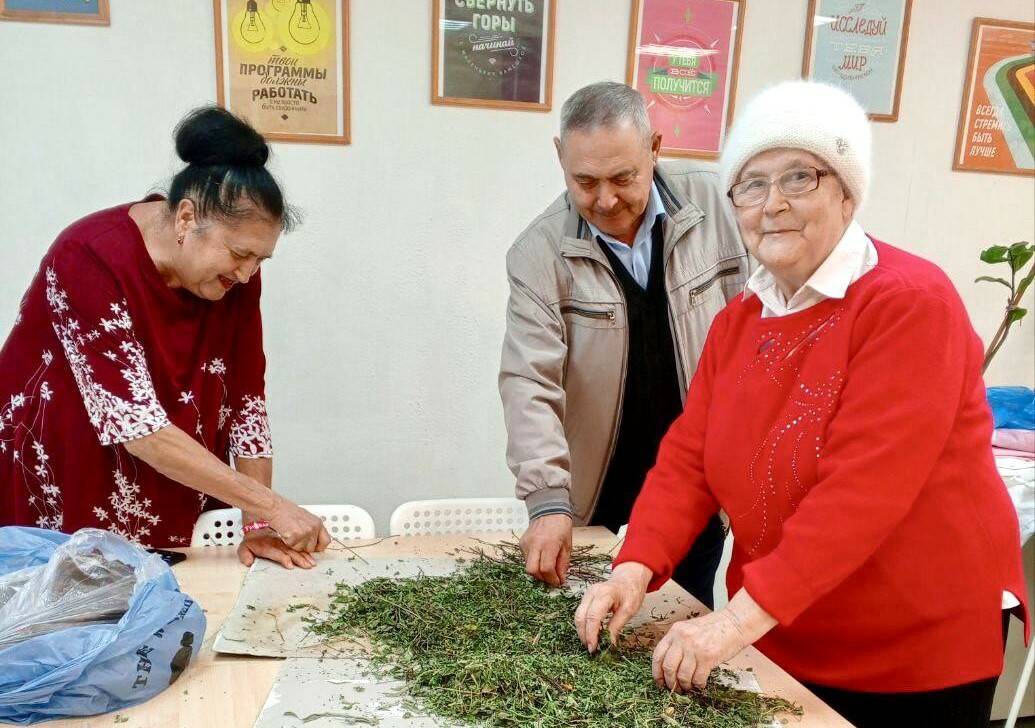 «Чай с ароматом дома»: нижнекамцы собирают травы для бойцов СВО