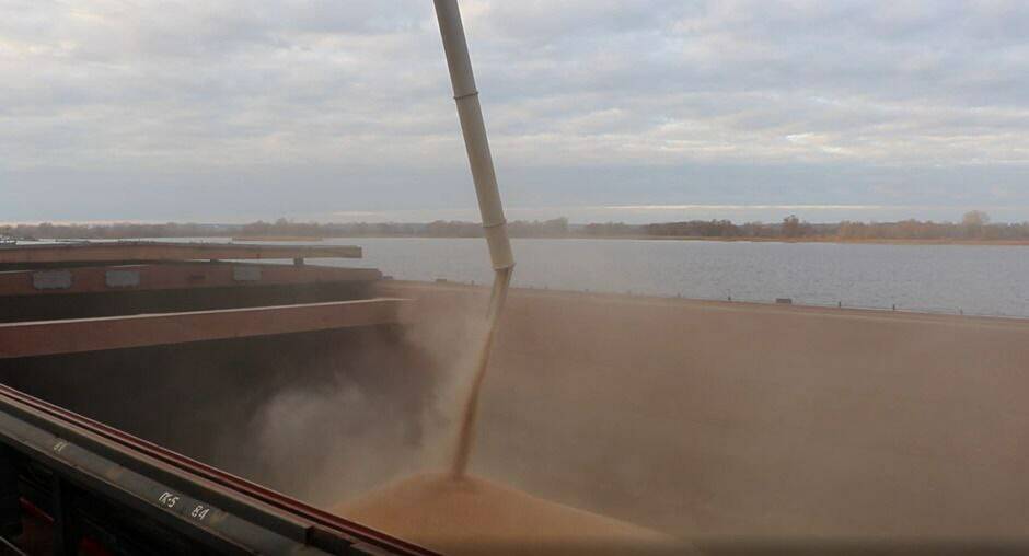 В Татарстане проверено и отгружено 5,1 тыс. тонн кормового ячменя для экспорта в Иран