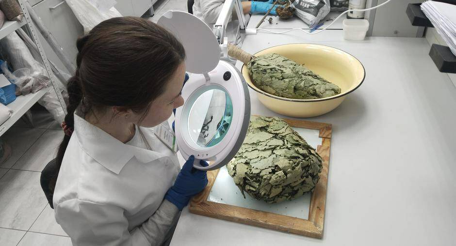 Татарстанские специалисты исследовали партию дубовых веников для отправки в Швейцарию