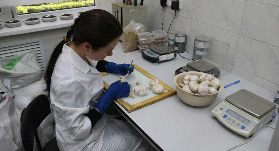 Специалисты Татарстана исследовали более 6,5 тыс. тонн импортной продукции с начала года