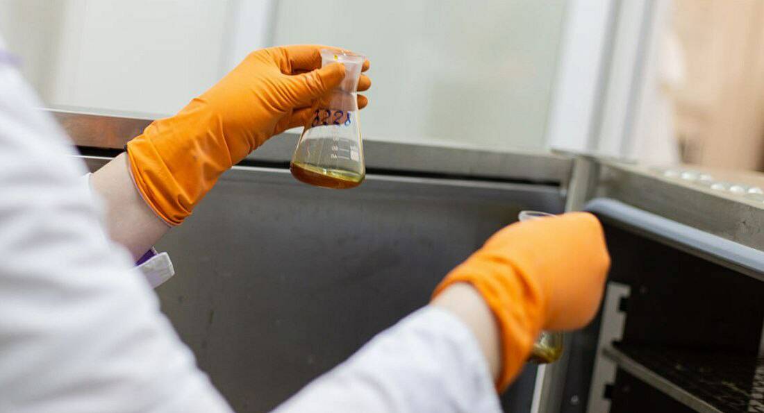 В Татарстане разрабатывают условия обращения с побочными продуктами животноводства