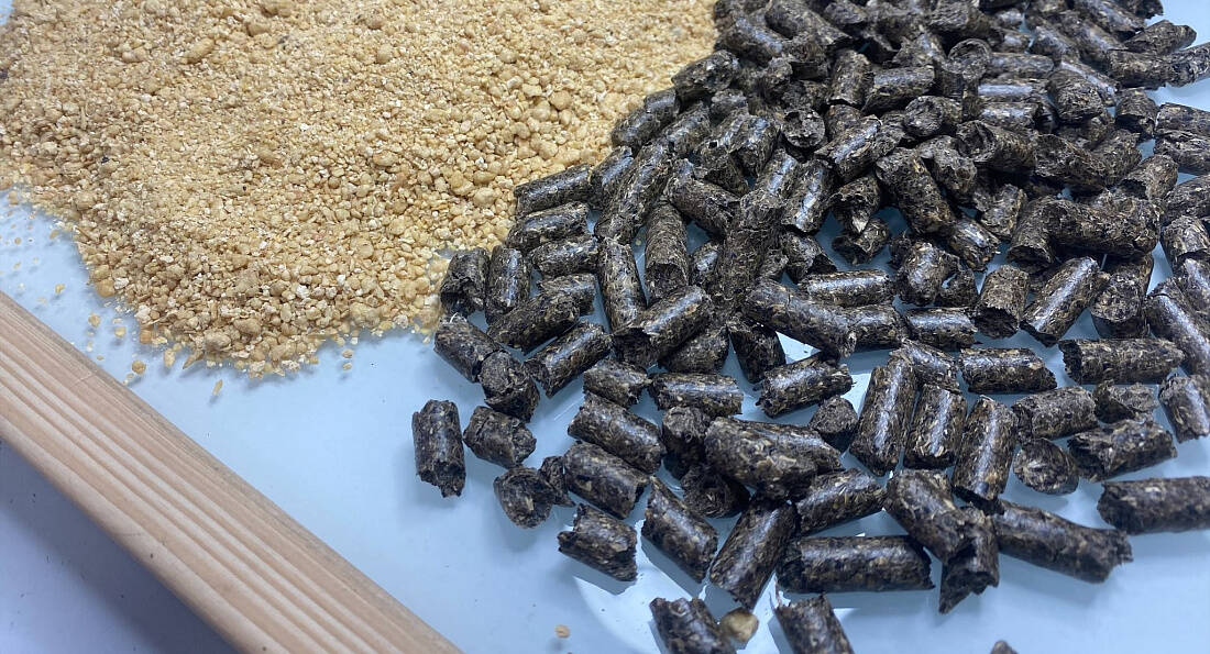 Специалисты Татарстана подтвердили качество экспортного подсолнечного шрота