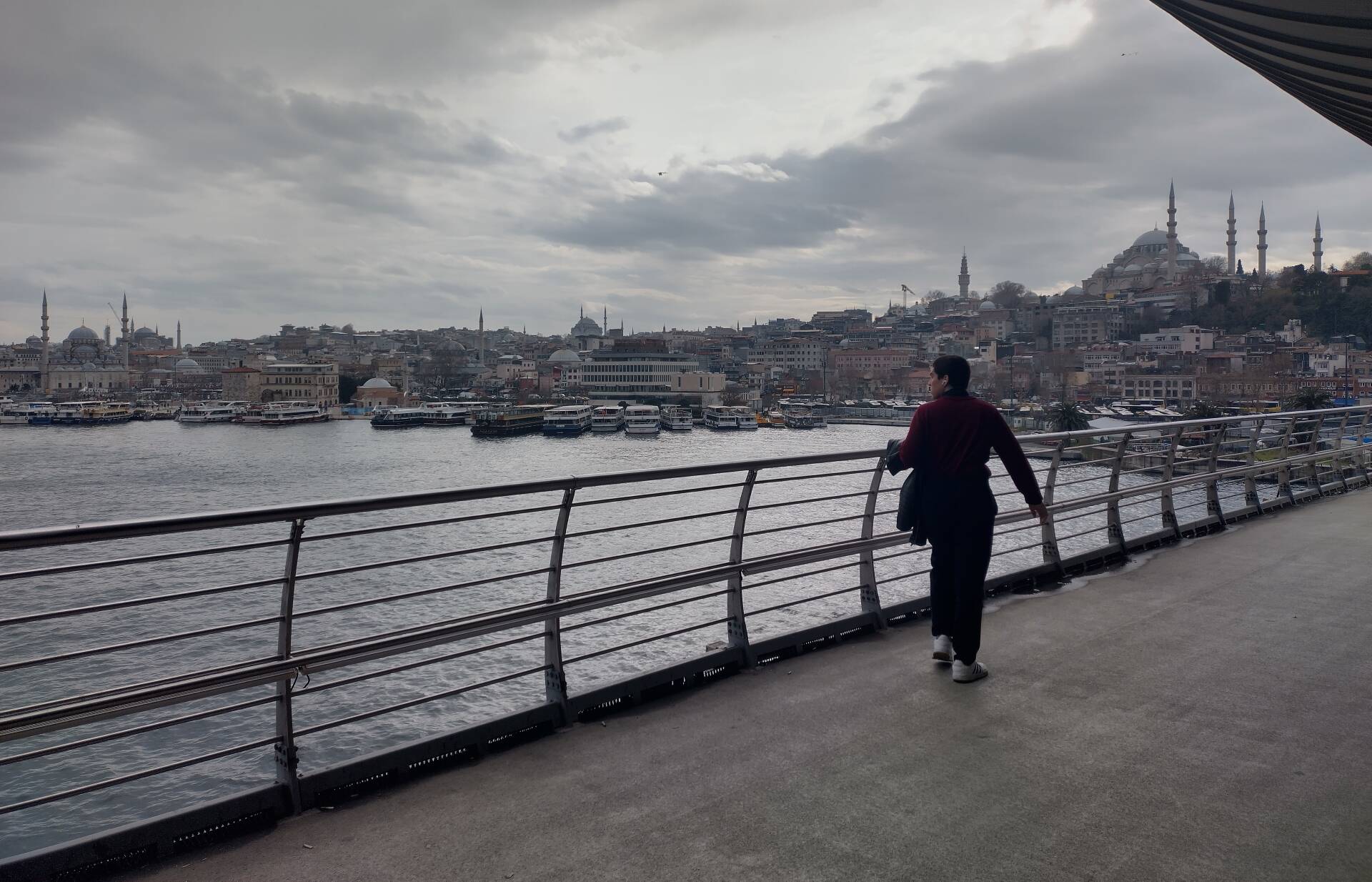 «Лувроценник», повсеместно русская речь и кошачий рай: Стамбул-2026 глазами «первохода»