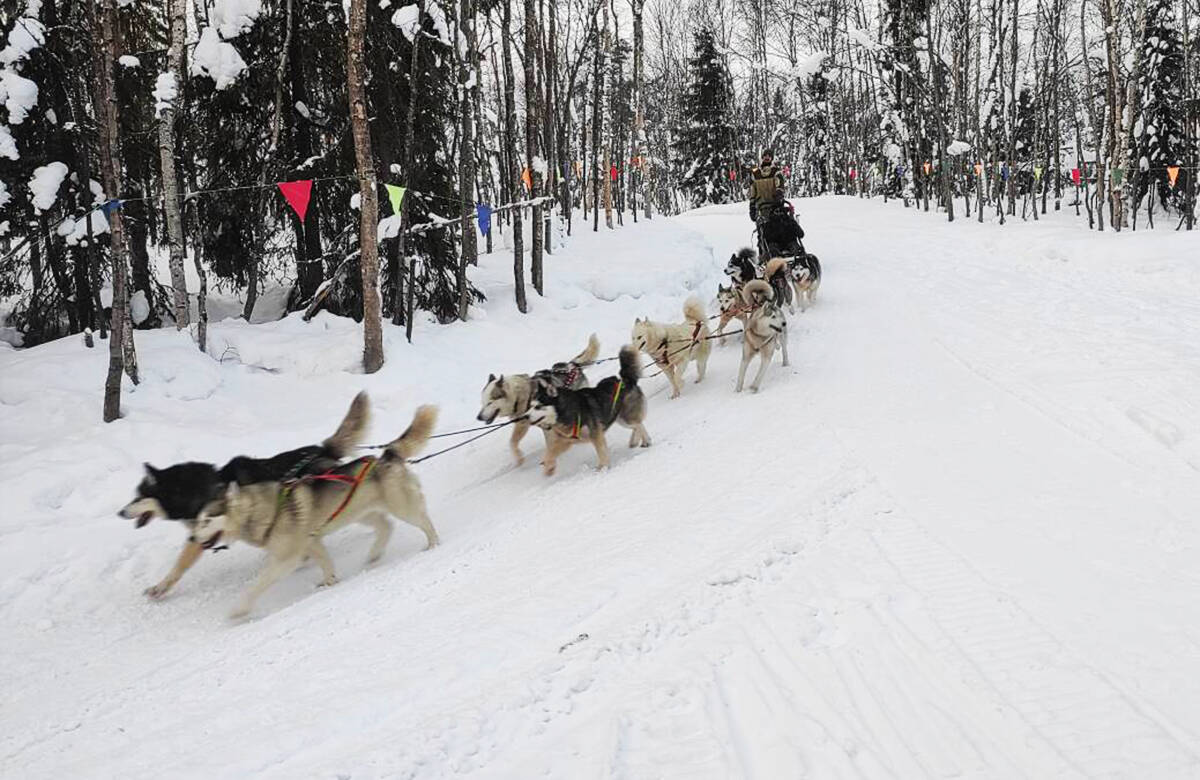 Северное сияние, гонки на хаски, пальмы в тундре: репортаж с края света